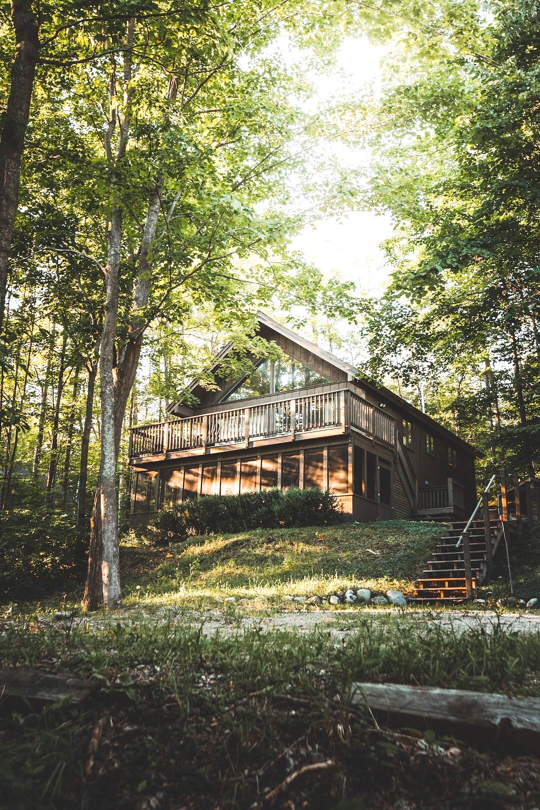 House in Trees